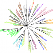 Workshop: Potentials and Limits of Stylometry