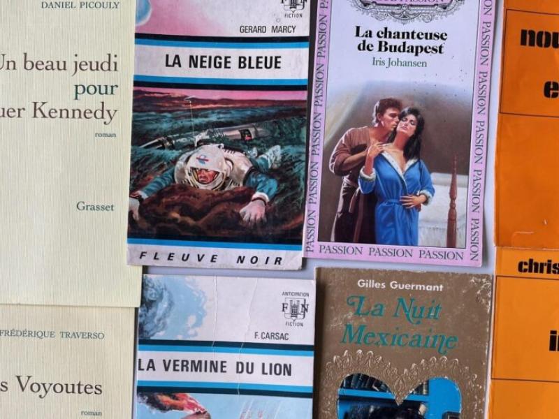 Buchcover aus dem Korpus Französischer Romane: Littérature Blanche, Science Fiction, Sentimentalroman und Kriminalroman.